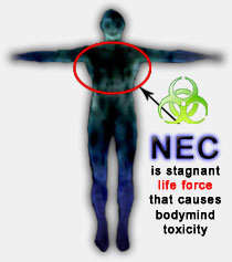 nec_bodymind_diagram