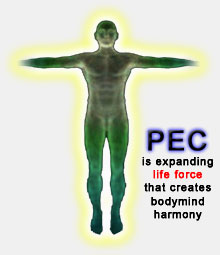 pec_bodymind_diagram